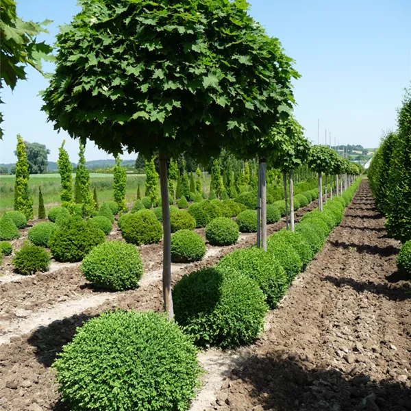 Unternehmen Garten Reiter GmbH