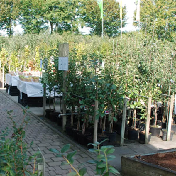 Unternehmen Garten Reiter GmbH