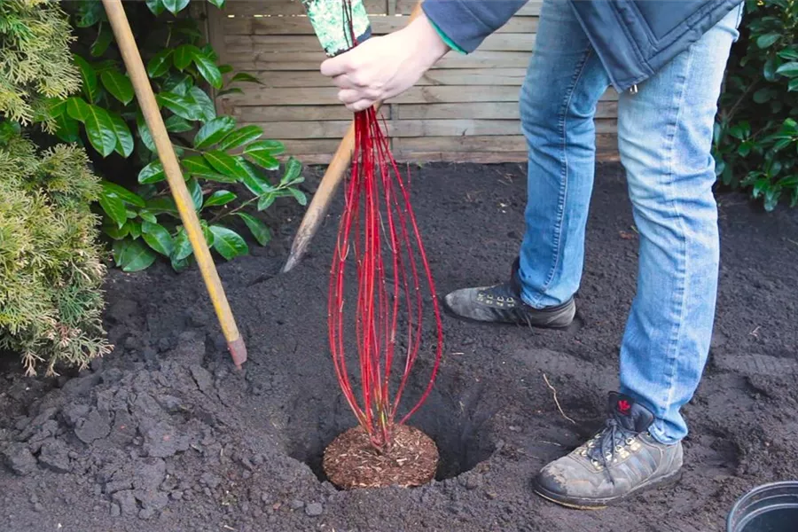 home Garten Reiter GmbH