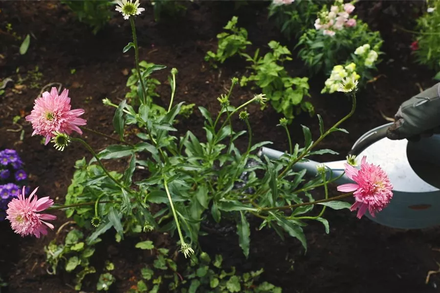 home Garten Reiter GmbH