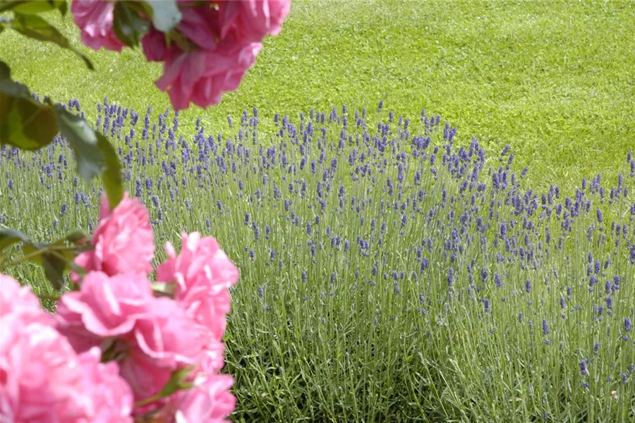 home Garten Reiter GmbH