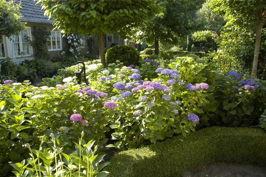 home Garten Reiter GmbH