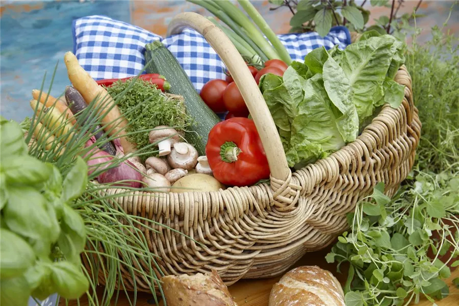 home Garten Reiter GmbH