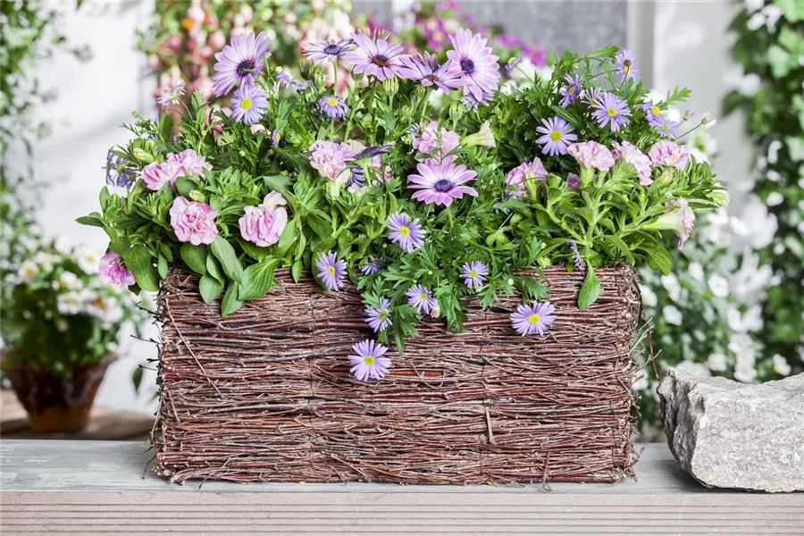 home Garten Reiter GmbH
