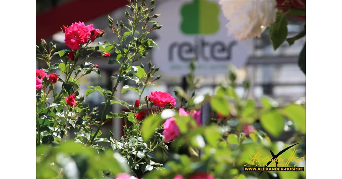 Über uns Garten Reiter GmbH