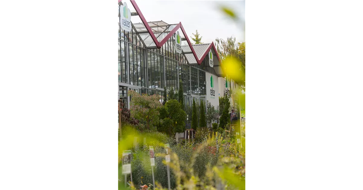Gartenmarkt Garten Reiter GmbH