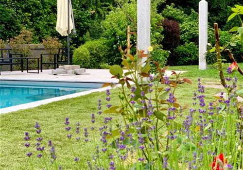 home Garten Reiter GmbH