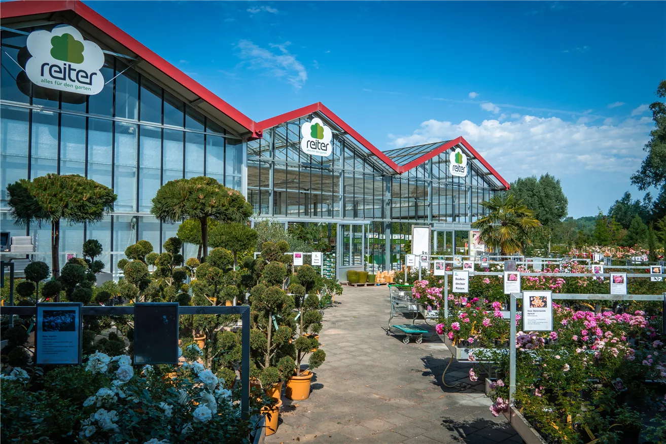 home Garten Reiter GmbH