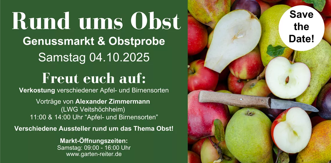 ZeitungAnzeigeGefäße (1).png