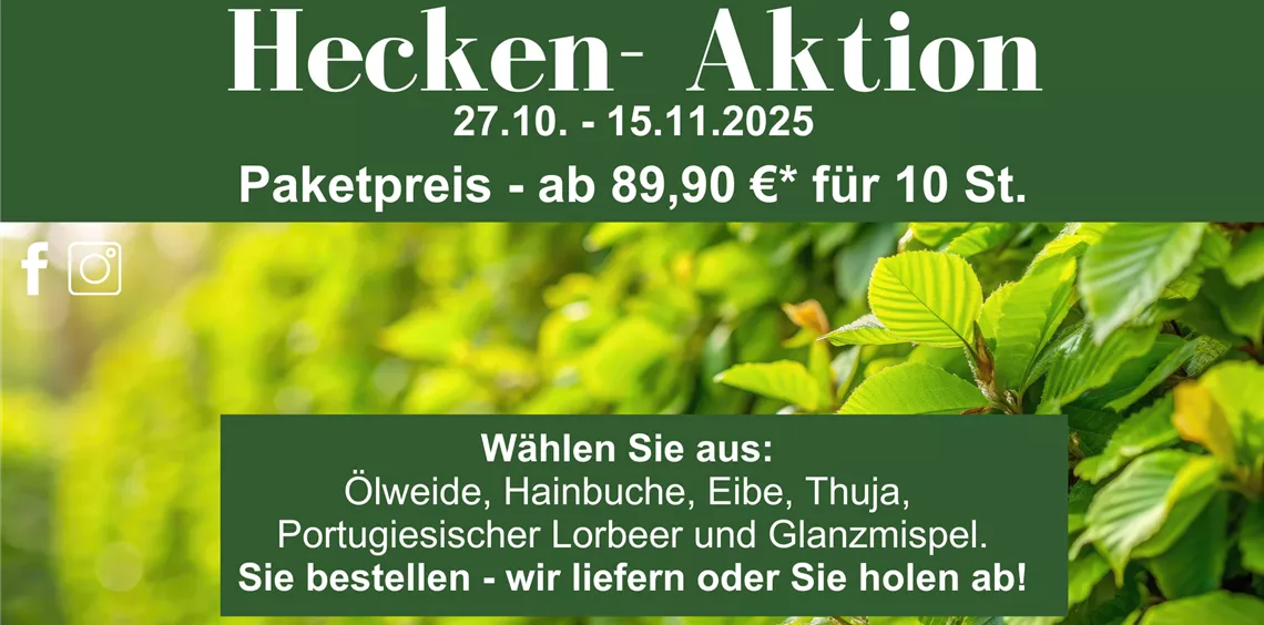 Dark Gray Minimalist Face Treatment Large Rectangle Ad (25).png Dark Gray Minimalist Face Treatment Large Rectangle Ad (25).png